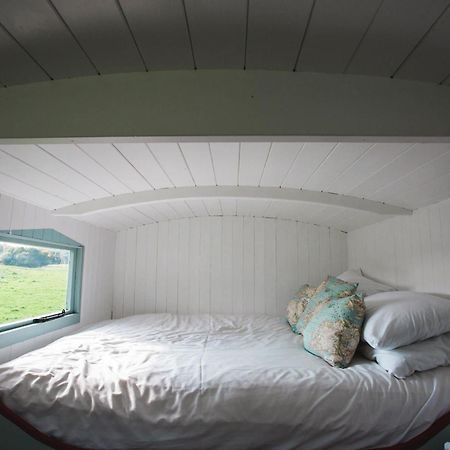 Rock Farm Slane - Glamping Hotel Phòng bức ảnh