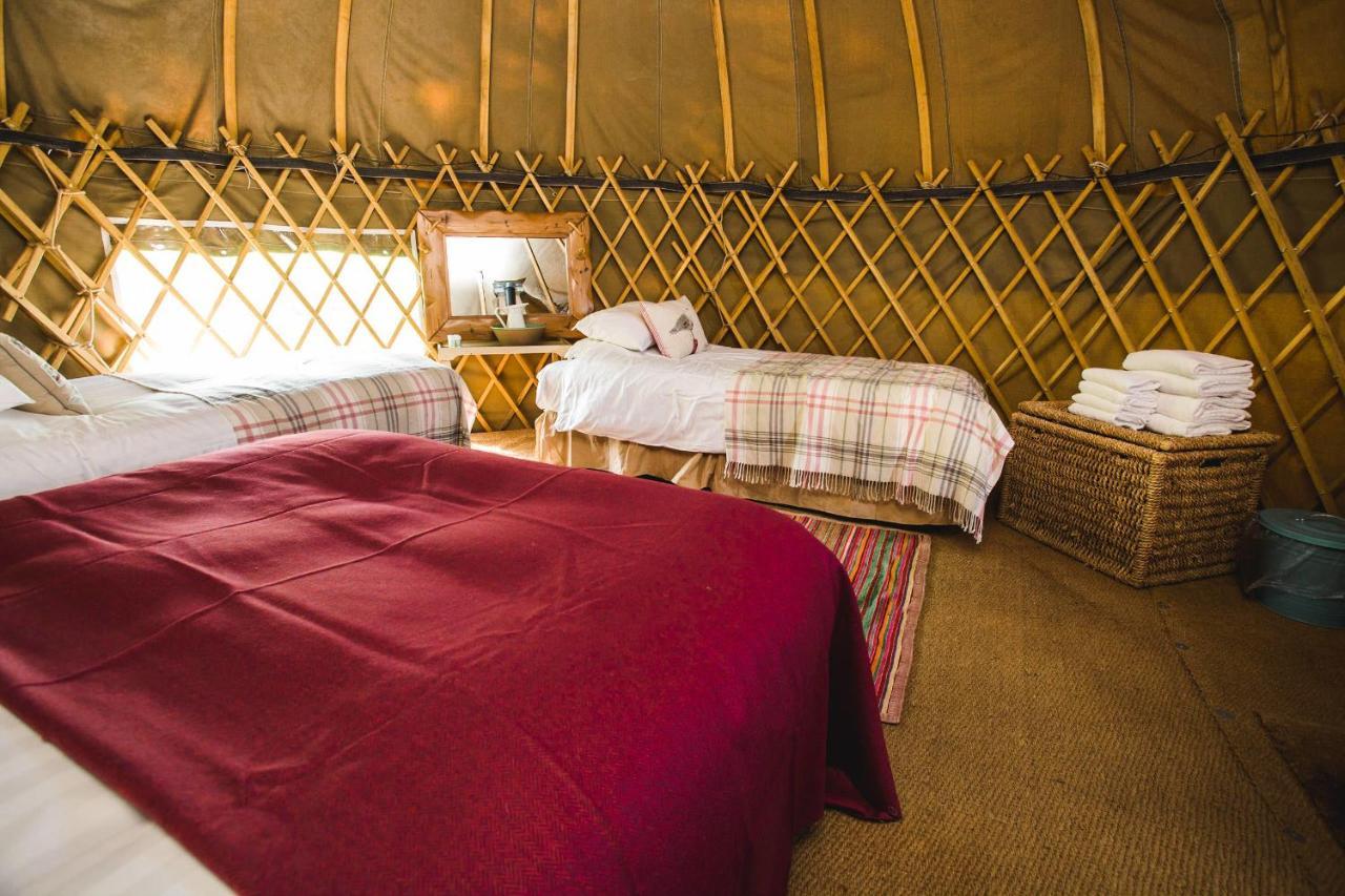 Rock Farm Slane - Glamping Hotel Phòng bức ảnh